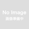 ホンダ レブル500（PC60) 2019 ブラック 中古車