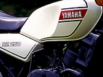 yamaha shop