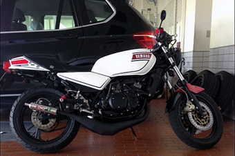 ルーニー RZ250/350