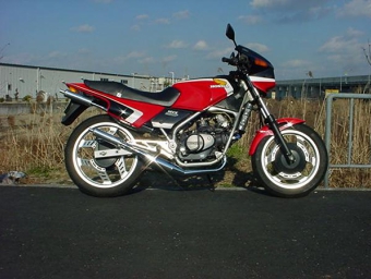 ルーニーMk2MVX250F