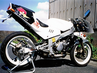 ルーニーMk3 NSR250