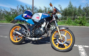 ルーニーMk2 NS-1