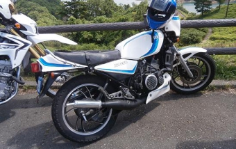 ルーニーMk2 NS-1