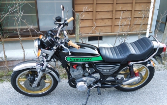 ルーニーMk2　NS-1