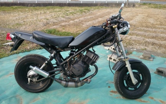 ルーニーMk2 NS-1